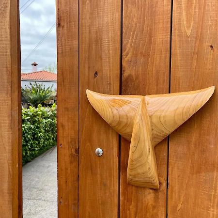 Azores Bagus Surf House Понта Делгада Екстериор снимка